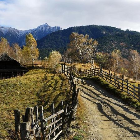 Pensiunea Montan Din Bran,Sat Simon Spa Indoor Bran  Exterior foto