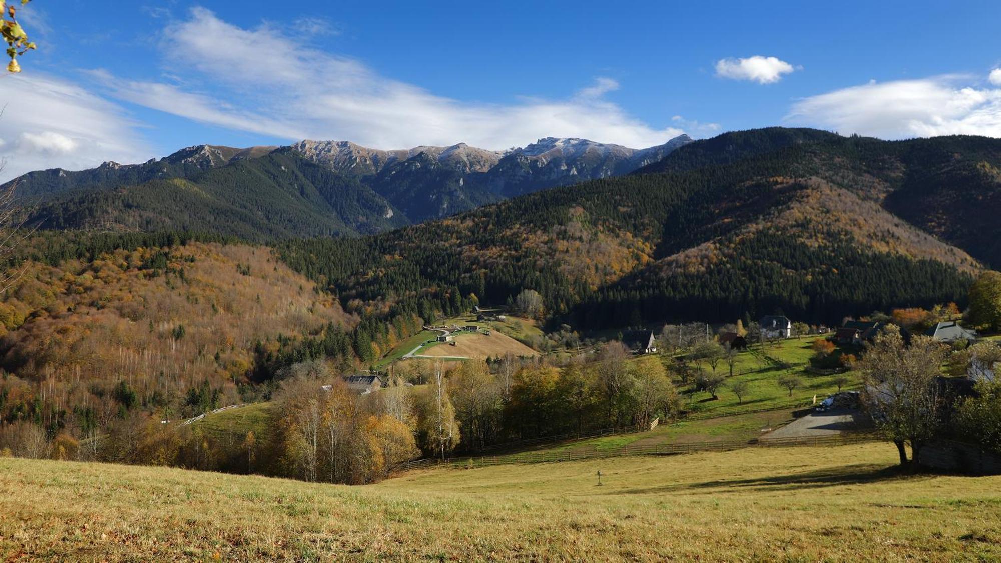 Pensiunea Montan Din Bran,Sat Simon Spa Indoor Bran  Exterior foto